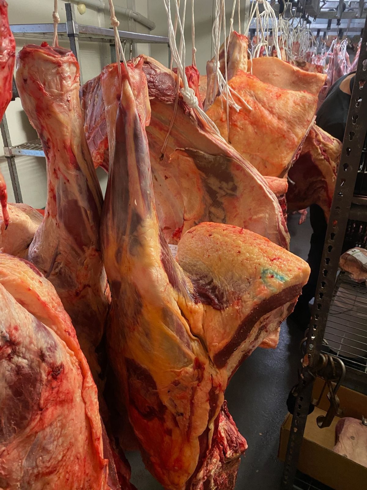 Arrawatta Native Angus carcasses hanging at Feather & Bone’s Marrickville butchery.