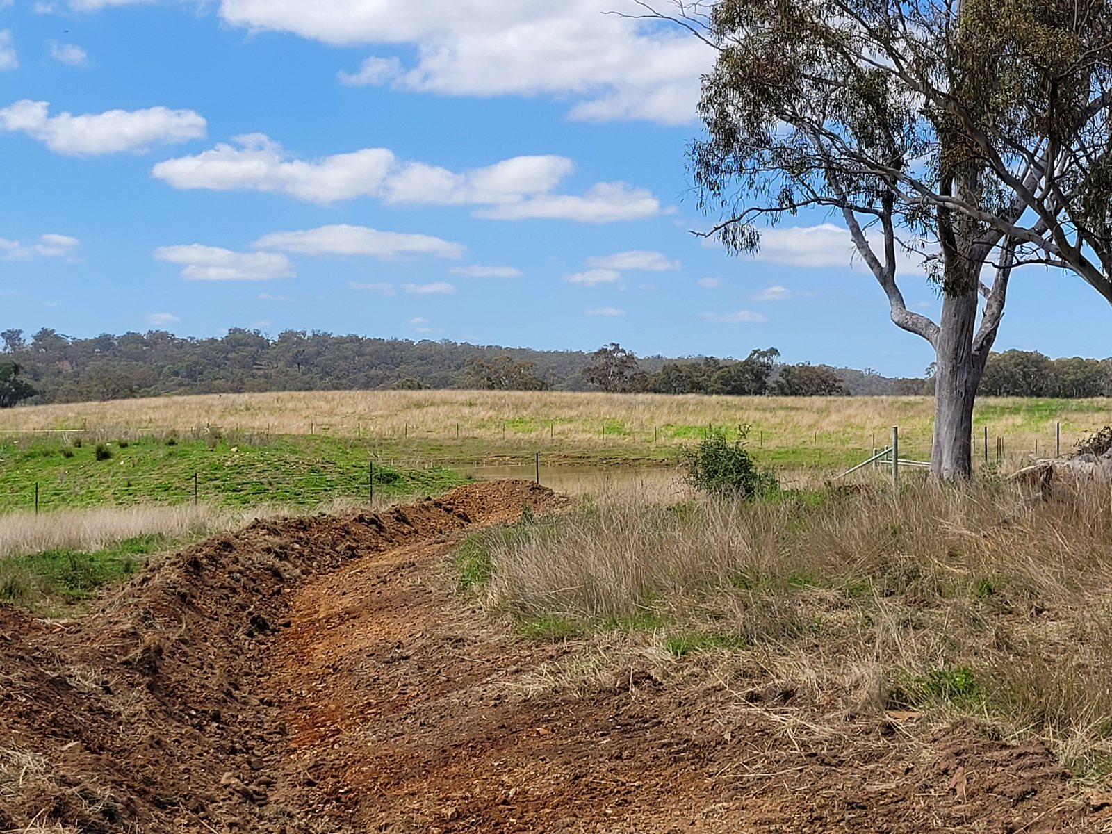 A curved earth bank leads towards water beside a large tree.