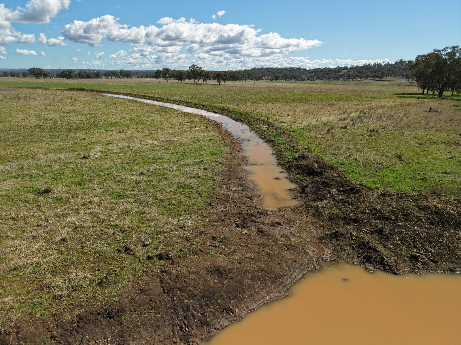 Water follows a curving channel through a paddock towards distant trees.