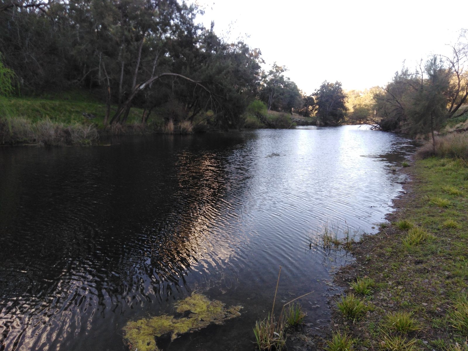 The Macintyre River curves between wooded banks, with reflections on the water.